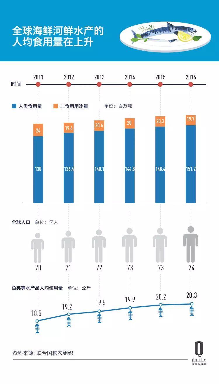 1/3 的魚類正被人過度捕撈，而同時(shí)撈上來的又有 1/3 被丟棄