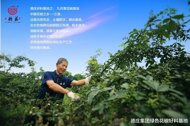 食品安全問題頻發(fā)，這家火鍋餐企憑啥突出重圍？