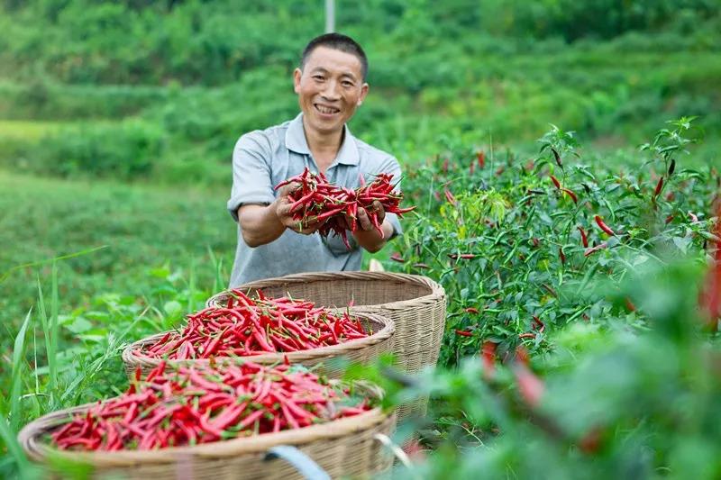 食品安全問題頻發(fā)，這家火鍋餐企憑啥突出重圍？